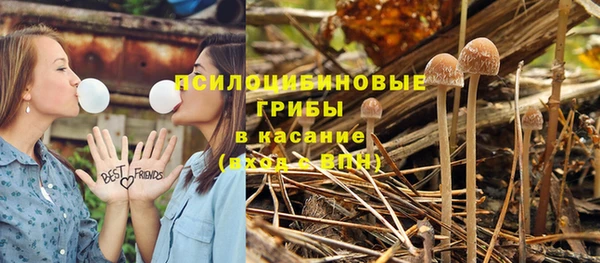гидропоника Каменск-Шахтинский