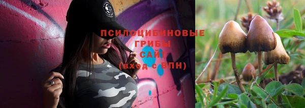 ECSTASY Каменка