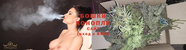 ECSTASY Каменка