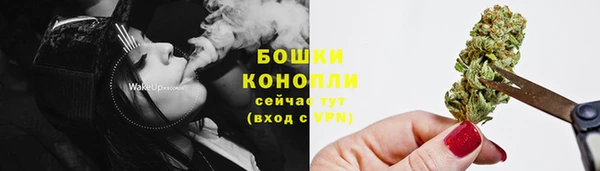 ECSTASY Каменка