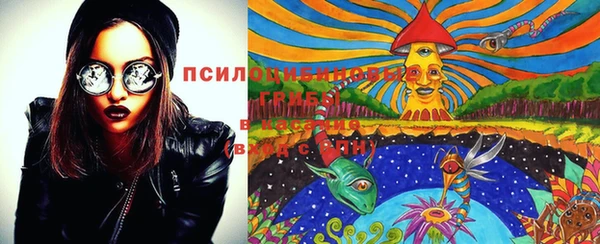 спиды Карталы
