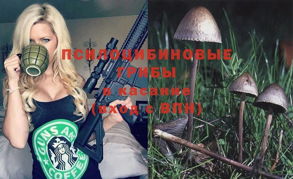 каннабис Каменногорск