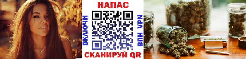 Купить  Грязи  МАРИХУАНА сатива 